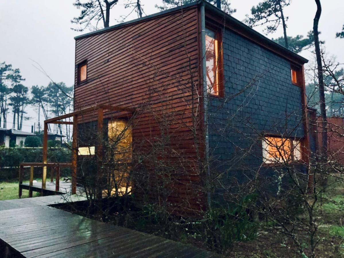 Bungalow B2 - Nature, Beach & River Ofir Exterior foto