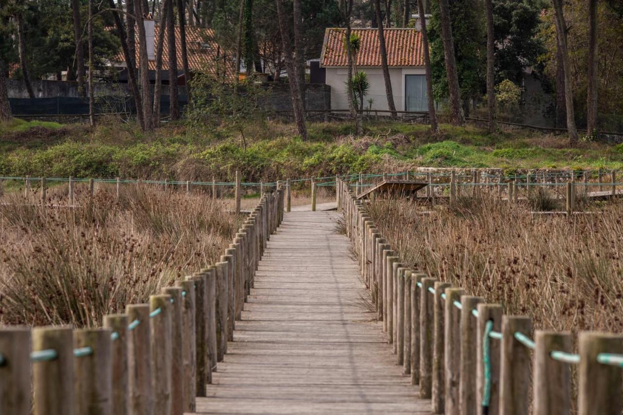 Bungalow B2 - Nature, Beach & River Ofir Exterior foto